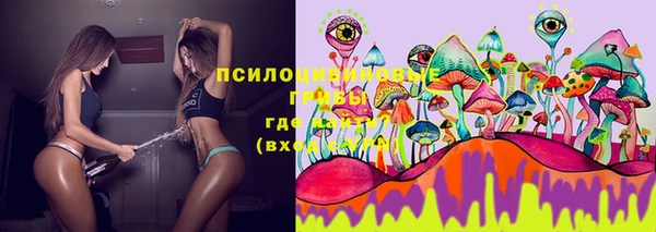 MESCALINE Осинники
