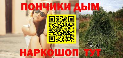 гидропоника Кингисепп