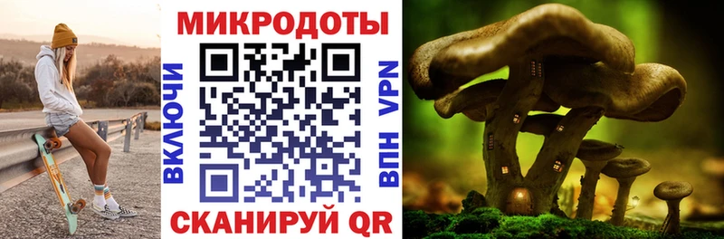блэк спрут рабочий сайт  Киржач  Галлюциногенные грибы прущие грибы  сколько стоит 