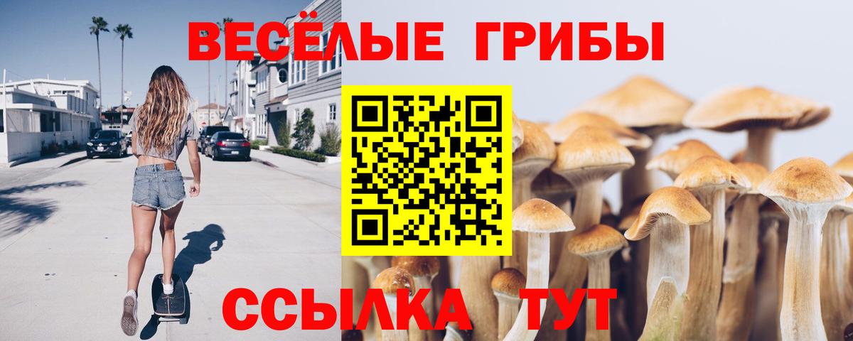 Псилоцибиновые грибы мухоморы  Вход с VPN  Киржач 